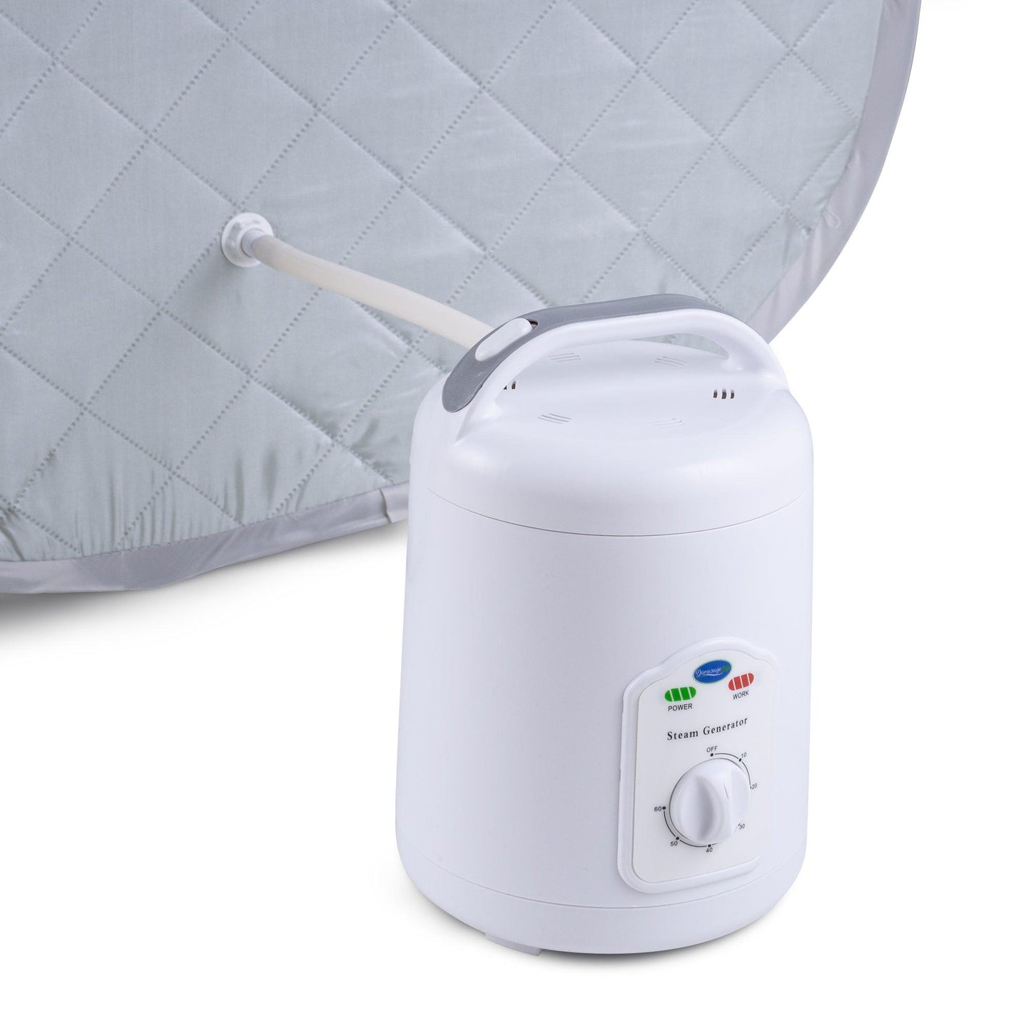 Personal Foldable Steam Sauna for Weight Loss, Detox, Relaxation at Home, 60 Minute Timer, 800 Watt Steam Generator, Chair Included (Silver)