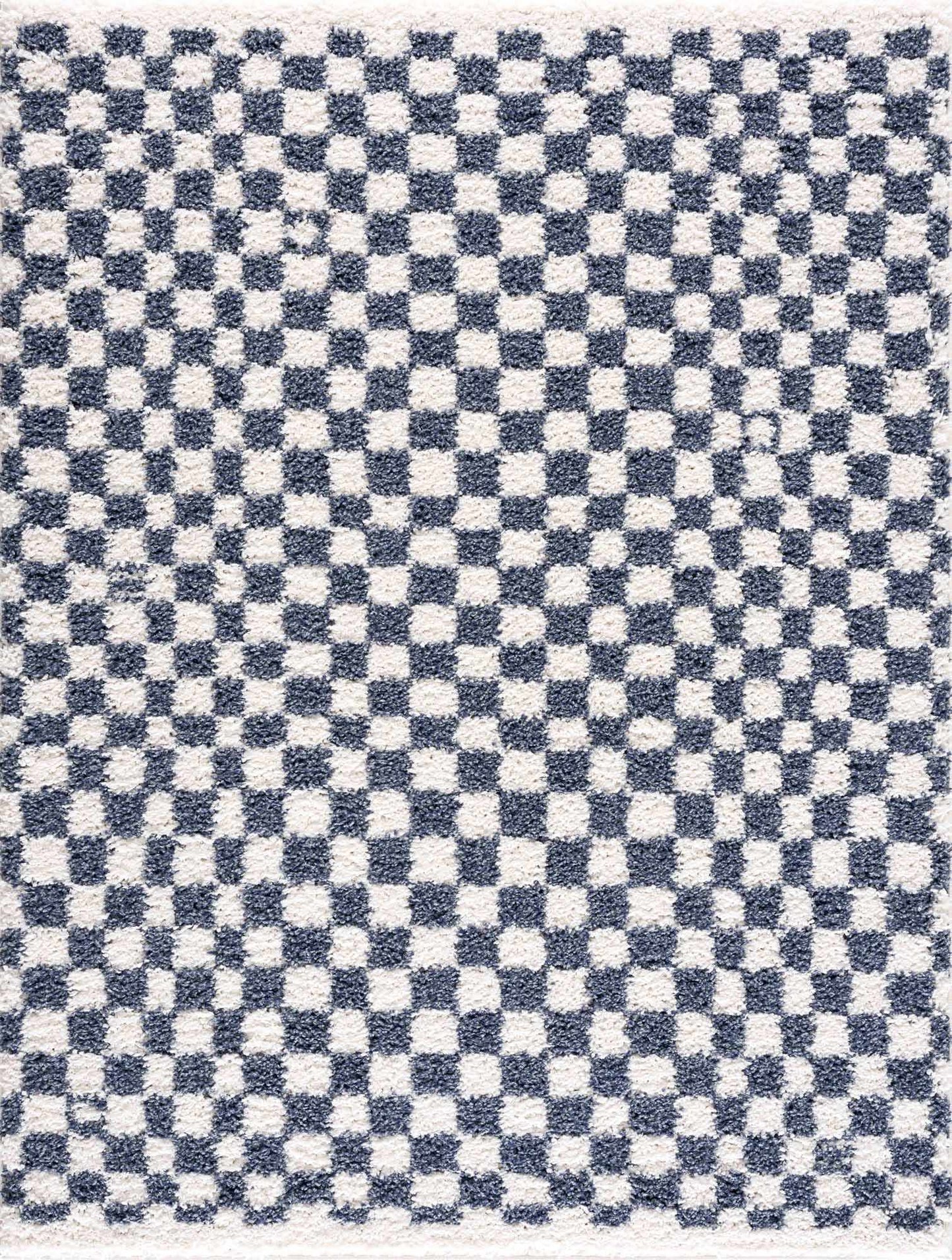 Kieu Blue & White Checkered Area Rug