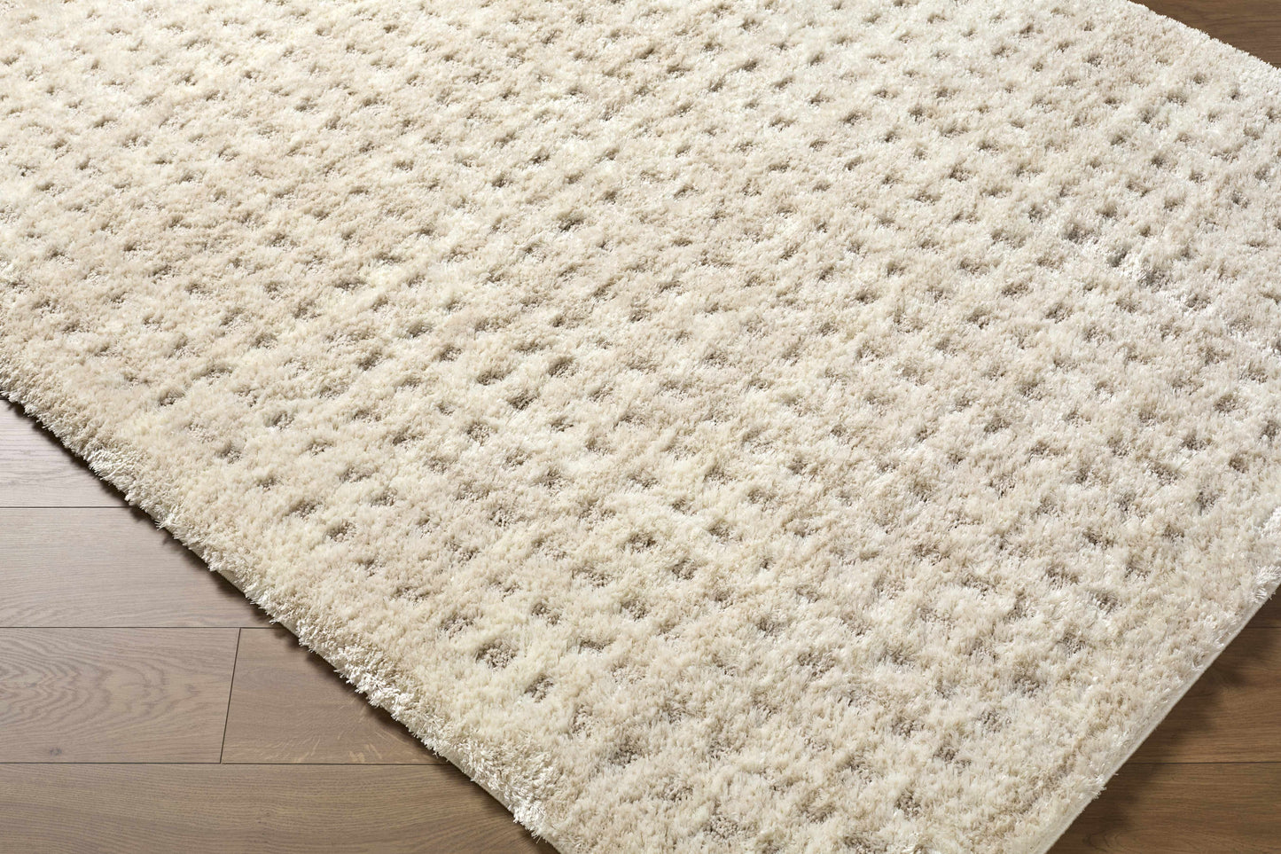 Armand Luxe Shag Rug