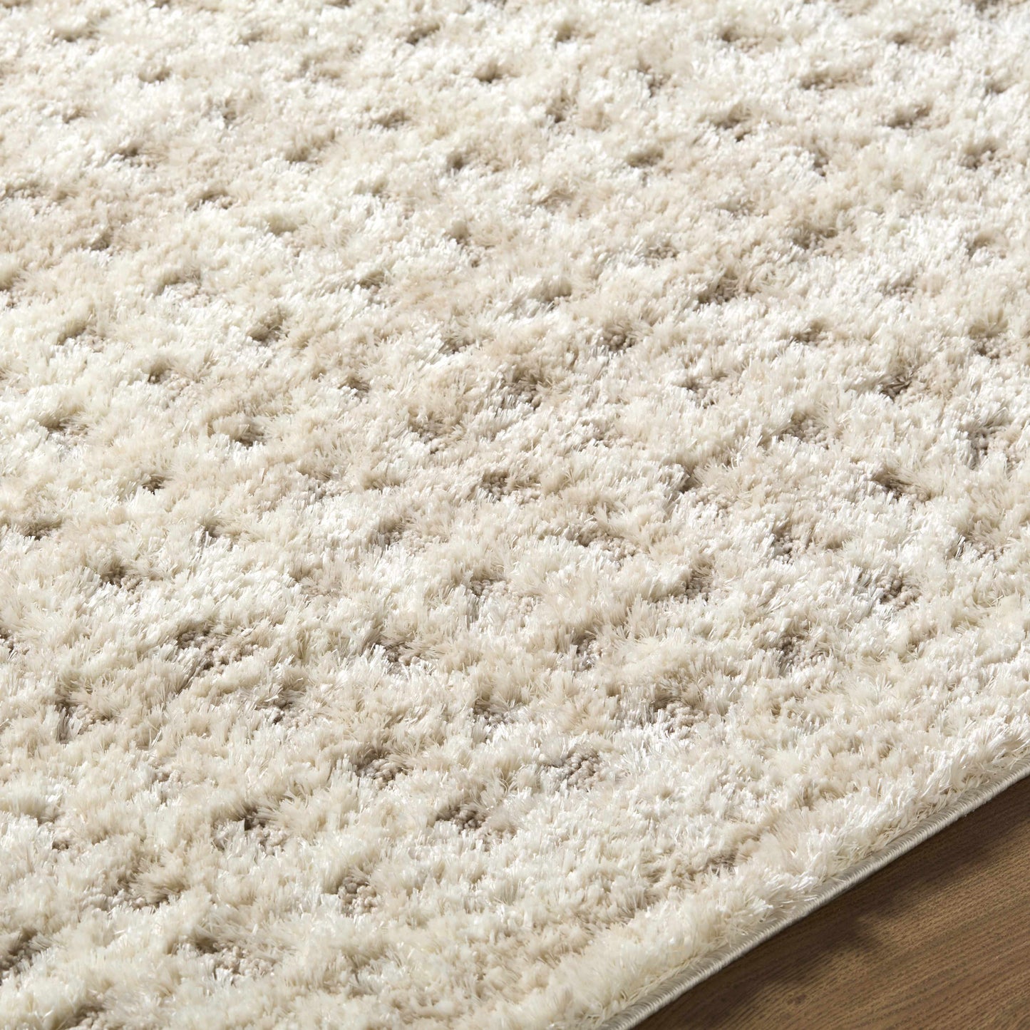 Armand Luxe Shag Rug