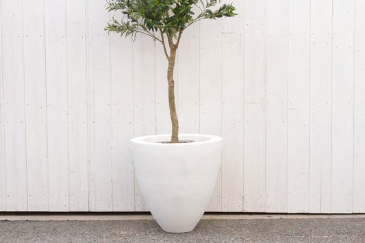 White Cloud Stone Planter