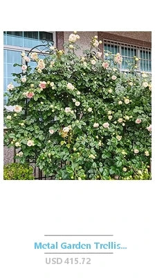 DUTRIEUX x Yaheetech L-Shaped Sectional Sofa Bed with Chaise, USB & Type-C Ports – Convertible Trundle Sleeper with Hidden Storage for Small-Space Luxury