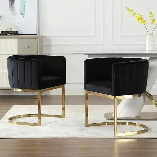 Mid-Century Modern Upholstered Dining Chairs with Arms – Set of 2 | Sleek Textile Dining Chairs with Metal Hoop Legs for a Chic Dining Room