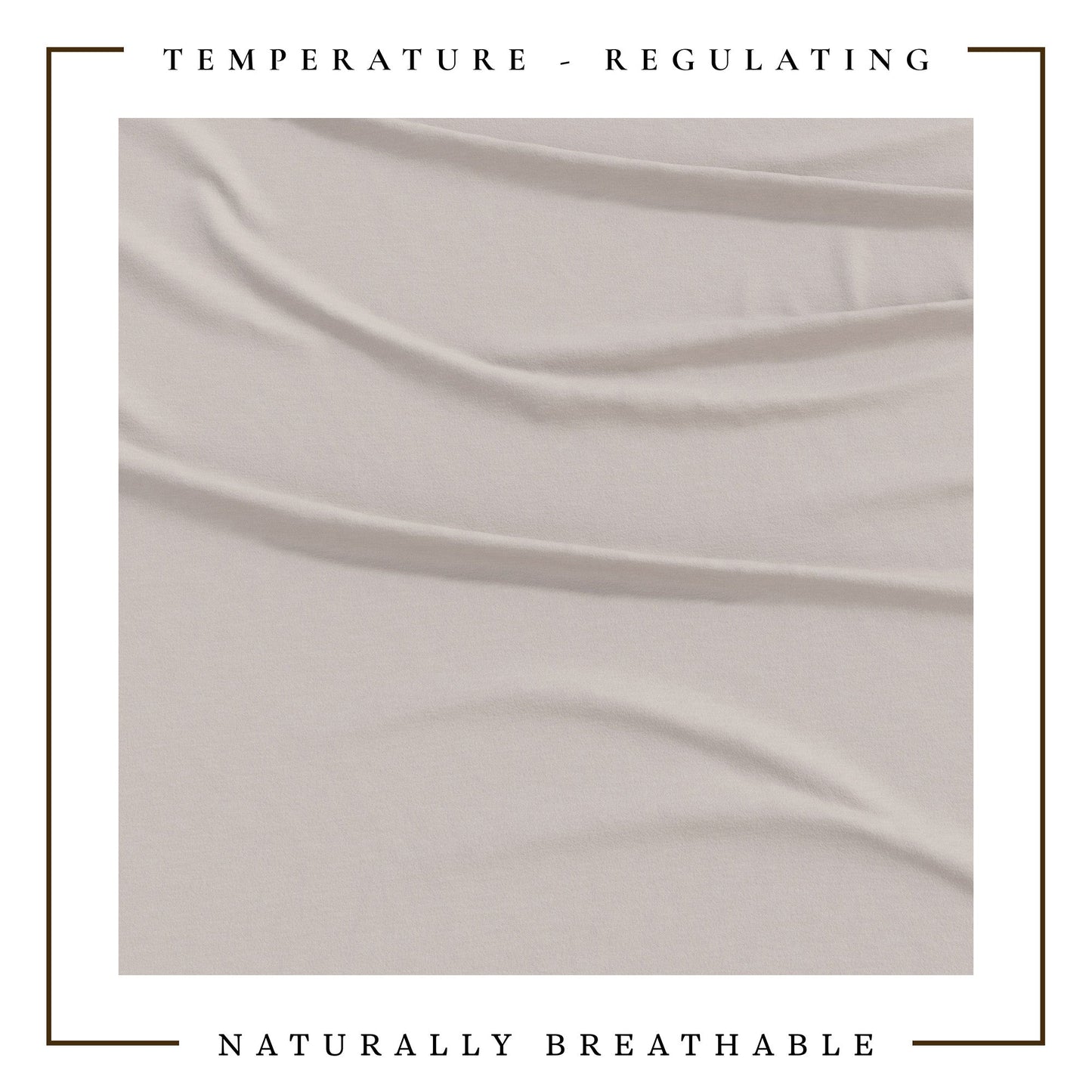 4-Piece Jersey Sheet - Carmen Collection