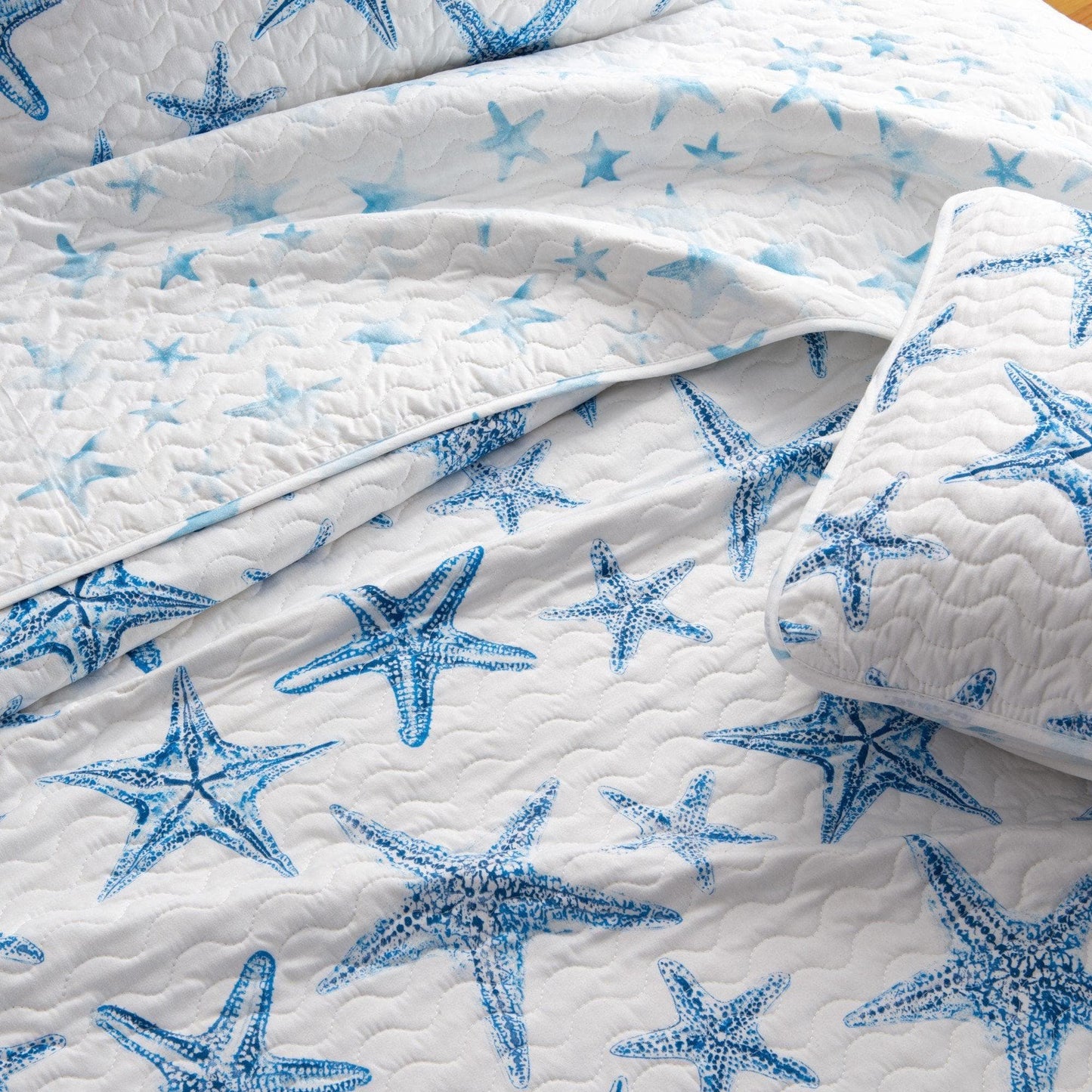 Blue Seashell Coastal Quilt Set - Trinidad Collection