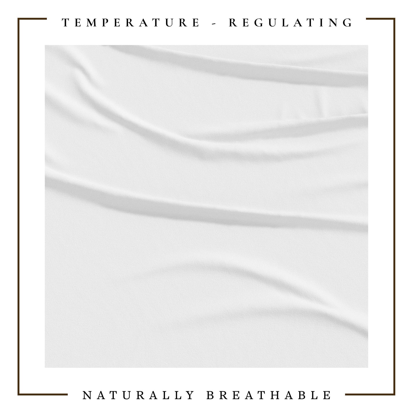 4-Piece Jersey Sheet - Carmen Collection