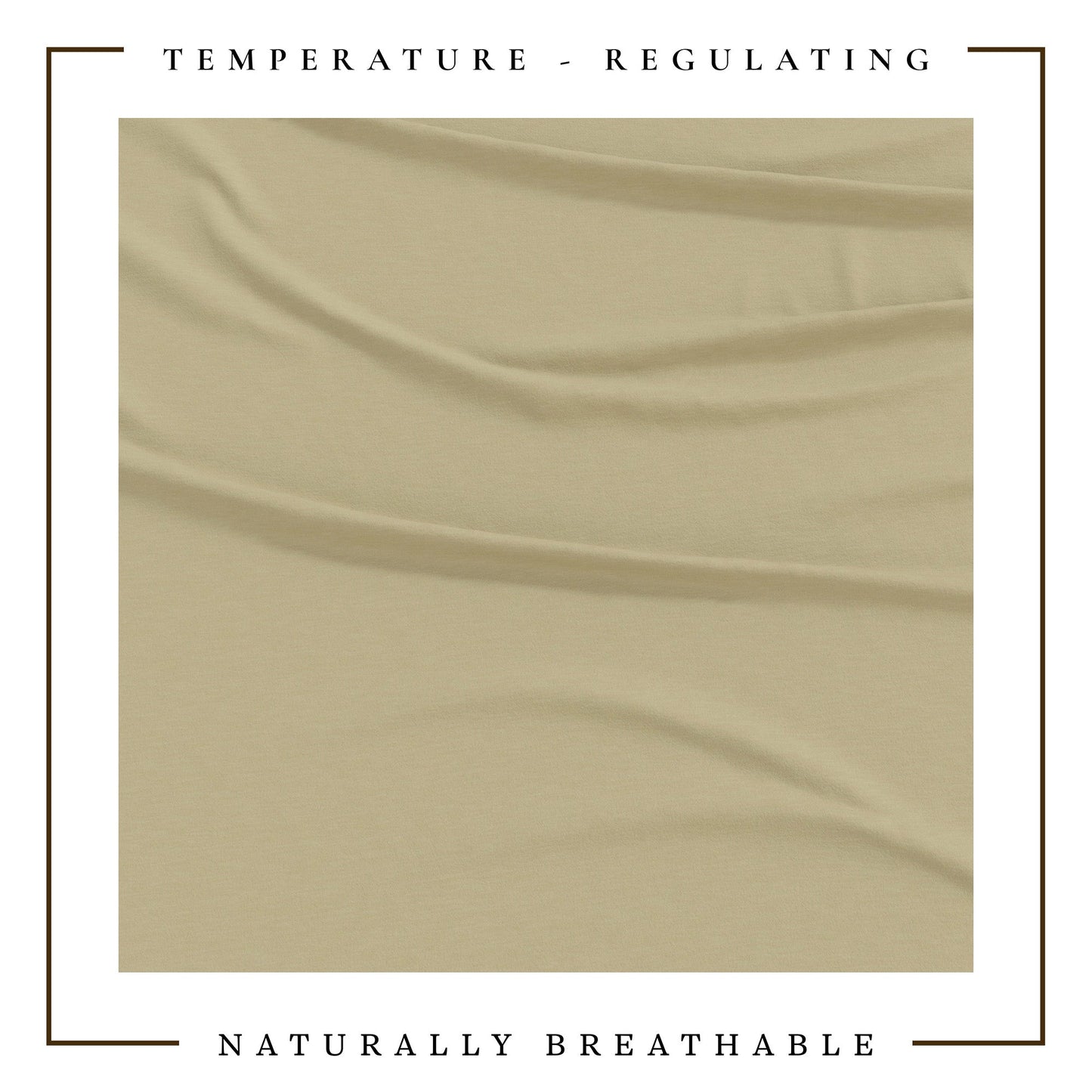 4-Piece Jersey Sheet - Carmen Collection